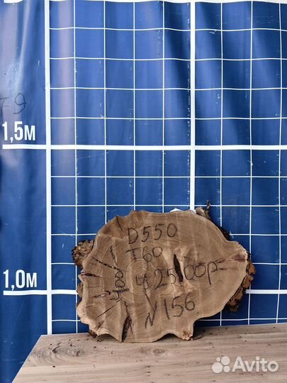 Спил карагач