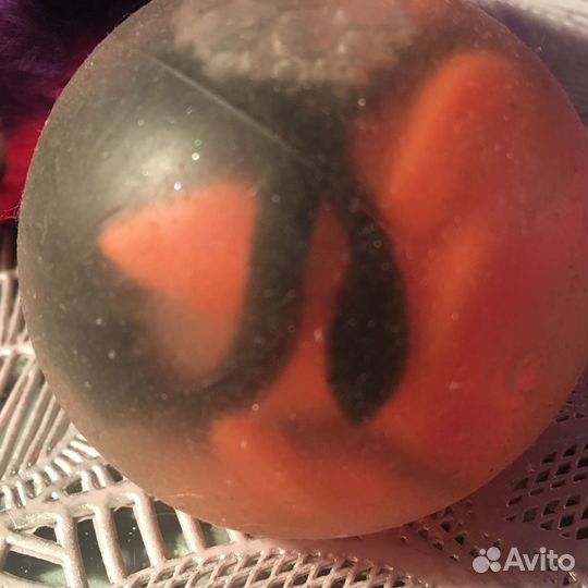 Змей и яйцо с змеями