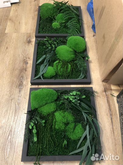 Интерьерная картина натуральный мох