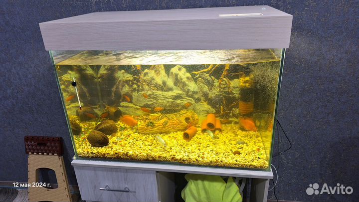 Аквариум с тумбой 250 литров