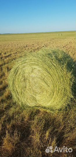 Сено в рулонах