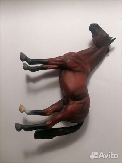 Лошади collecta