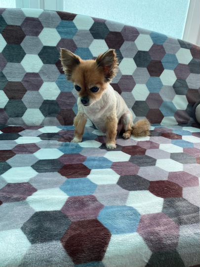 1-к. квартира, 36 м², 3/8 эт.