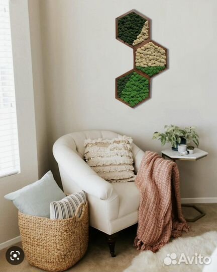 Соты стабилизированный мох на стену Подарок