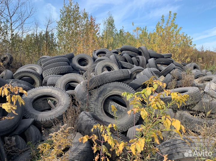 Прием бу шин