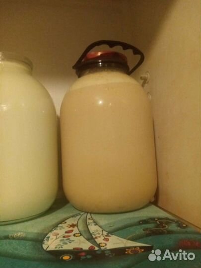 Молоко коровье, творог, сметана