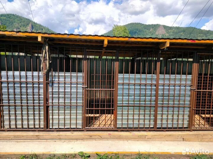 Уход за животными,передержка, зоогостиница