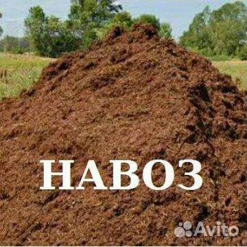 Навоз коровий