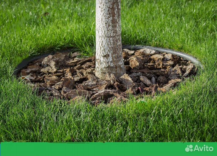 Мульча Кора Лиственницы Симферополь наличие