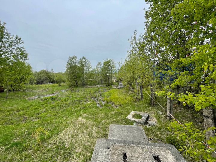 Участок 39,3 сот. (промназначения)