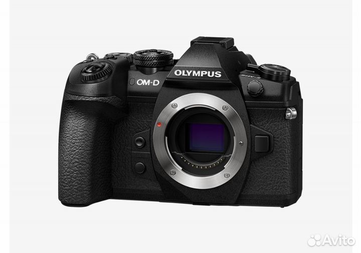 Olympus EM1 Mark ll. M.zuiko 12-40mm f/2.8