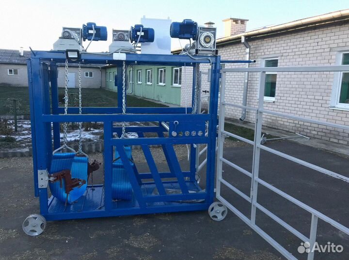 Станок для обработки копыт и фиксации коров и быко