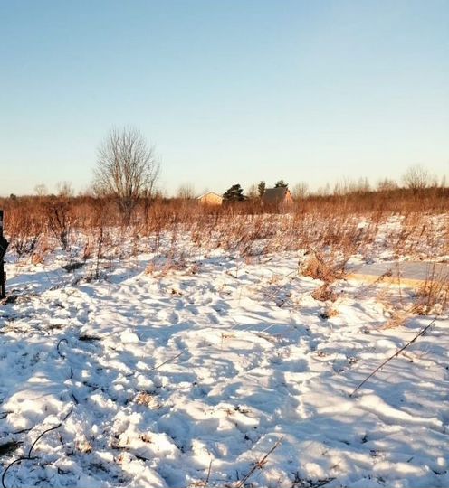 Участок 20,5 сот. (ИЖС)