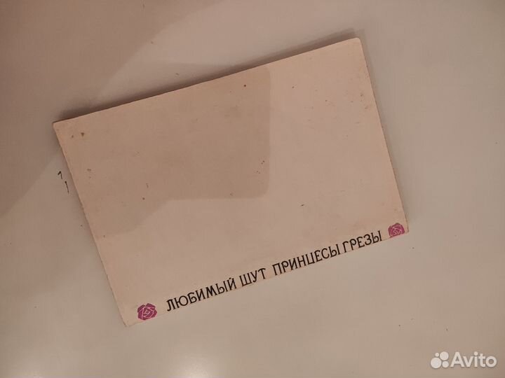 Любимый шут принцессы грезы