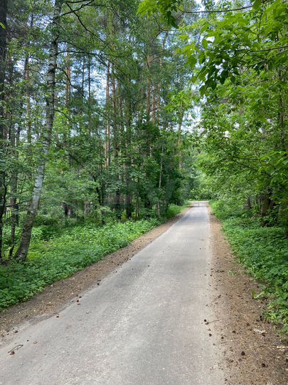 Участок 1,5 га (ИЖС)