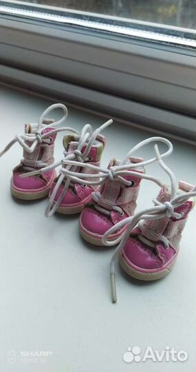 Обувь для собак