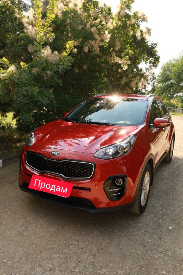 Kia Sportage: фото владельца