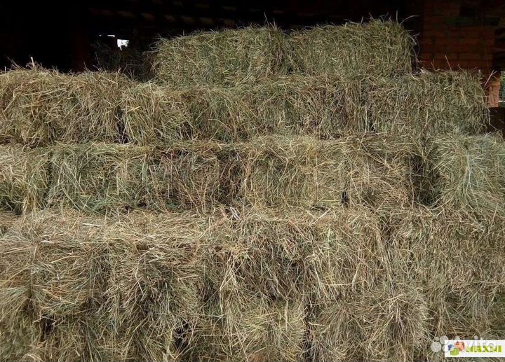 Сено в тюках
