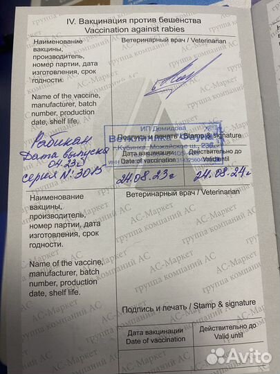 Пристраивается кошечка