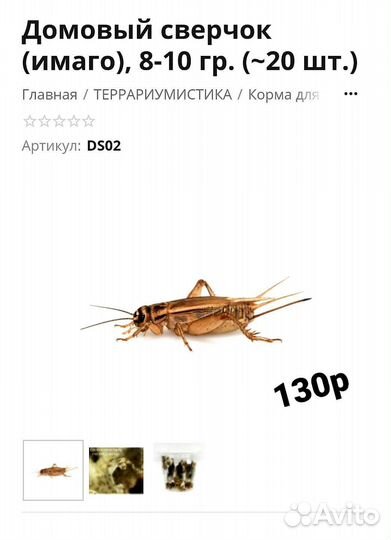 Кормовые насекомые