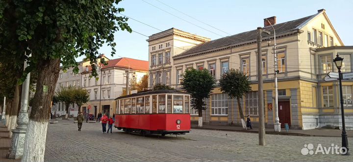 Экскурсии и туры по Калининградской области