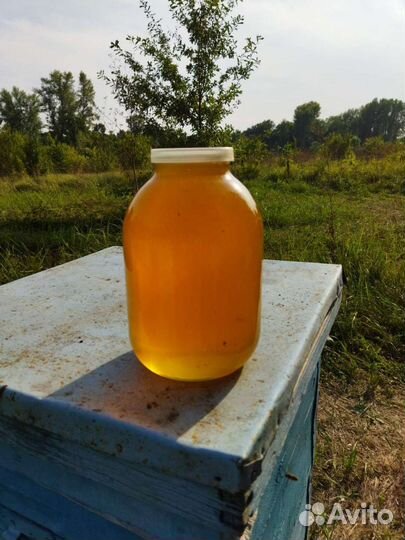 Мед цветочный урожай 2023г