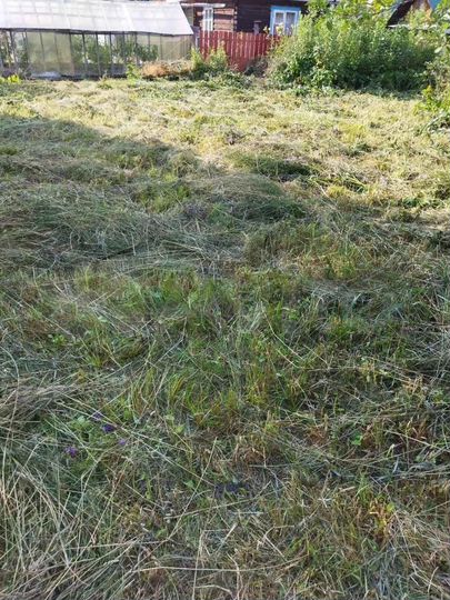 Участок 5,5 сот. (СНТ, ДНП)