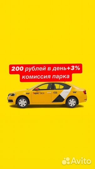 20 за тип занятости без ИП и самозанятости