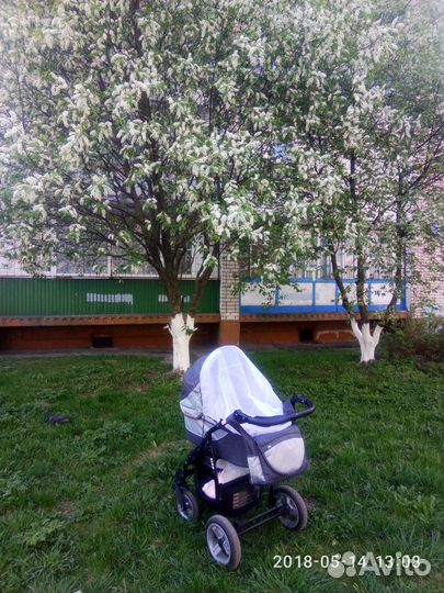 Коляска 2 в 1 фирма Zipp