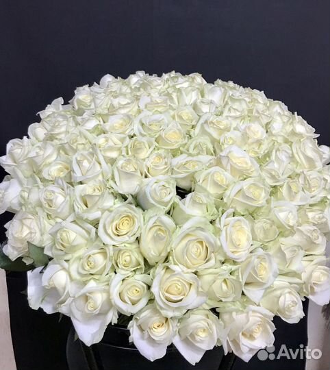 Букеты из 101 розы, 51 Розы Доставка