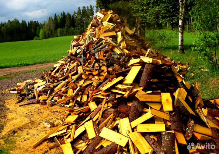 Кора березы