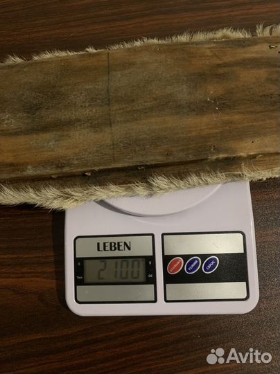 Лыжи охотничьи с камусом