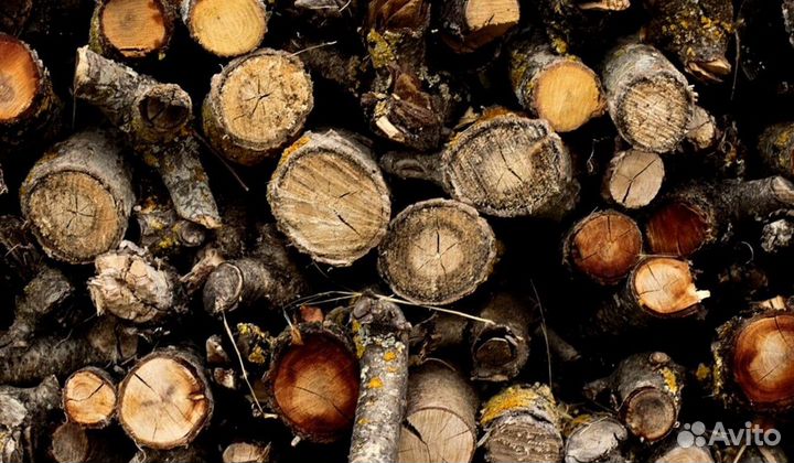 Дрова достойные