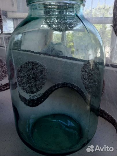 Стеклянные банки