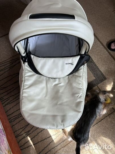 Коляска 3 в 1 verdi sonic pro