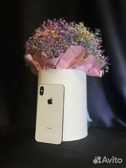iPhone X, 256 ГБ