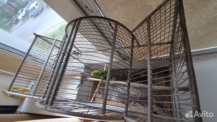 Клетка для волнистого попугая