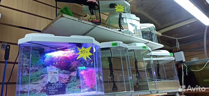 Аквариум для рыбок - большой выбор