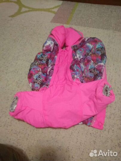 Одежда для собак