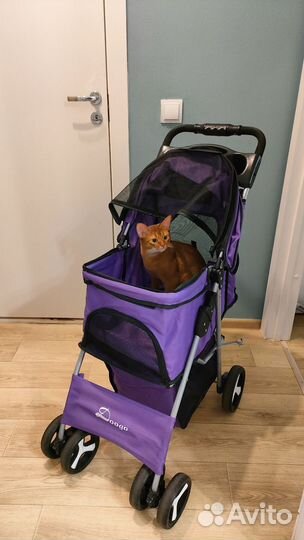 Коляска для перевозки животных