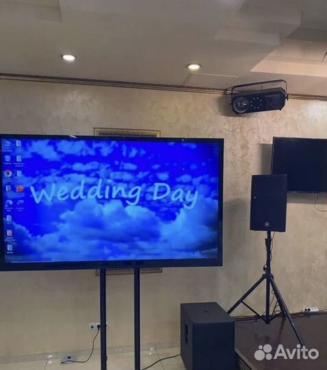 Прокат телевизора для мероприятий