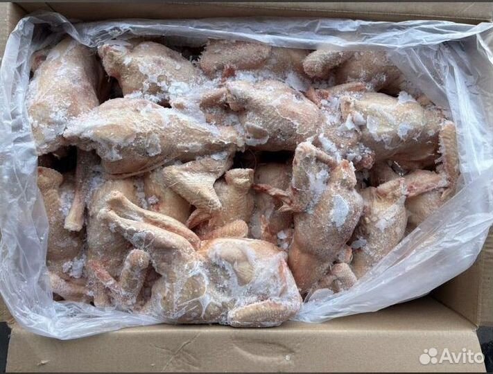 Курица тушки оптом
