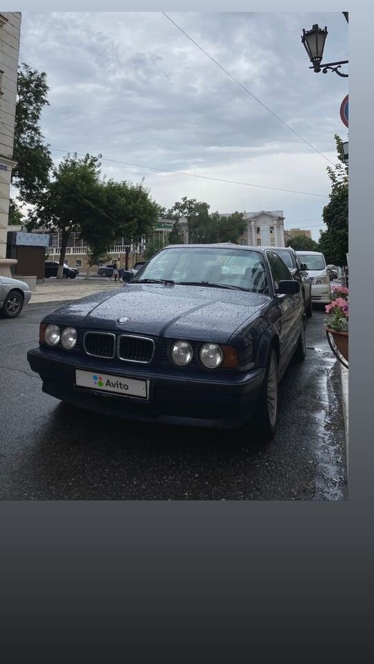 BMW 5 серия: фото владельца