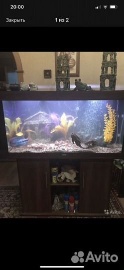 Аквариум juwel