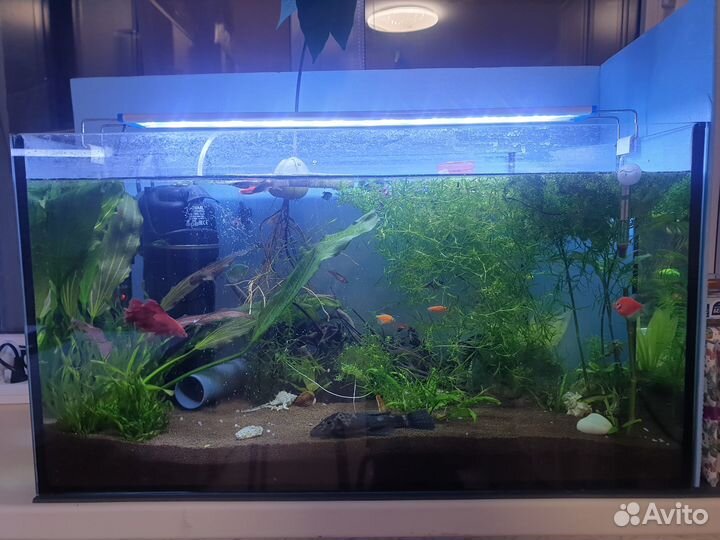 Аквариум на 70 литров