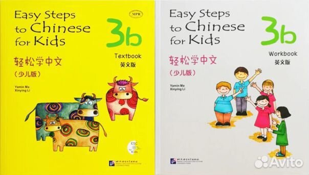 Easy steps to chinese for kids