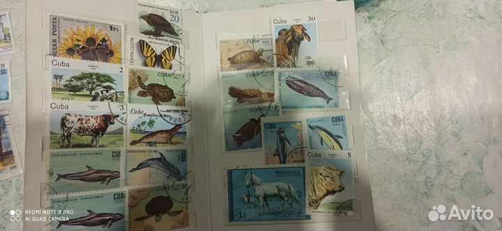 Коллекционные марки