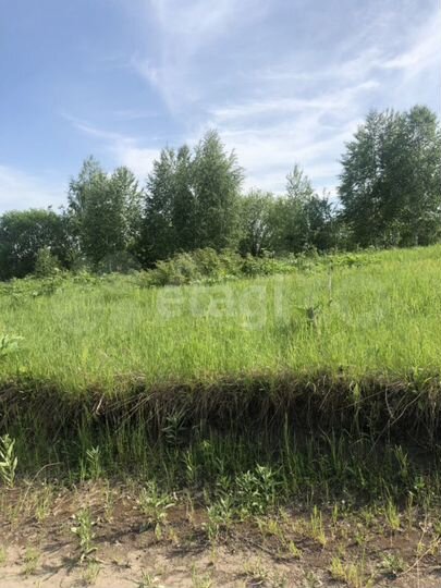 Участок 15 сот. (СНТ, ДНП)