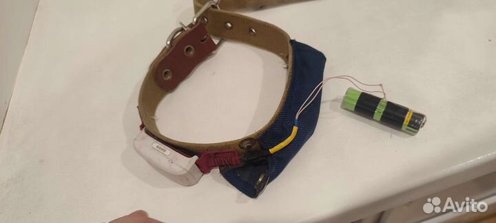 Ошейник GPS трекер для домашних животных