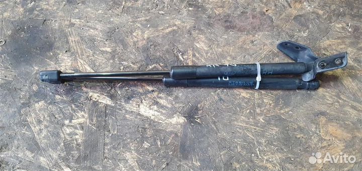 Амортизатор двери багажника Kia Ceed 1